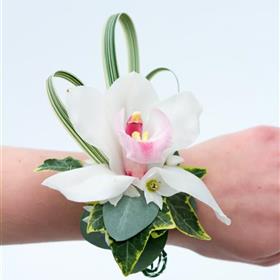 fwthumbCymbidium Orchid Corsarge Close Up.jpg